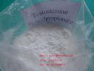 Testosterone Phenylpropionate Testosterone Pp Sh-Ts007